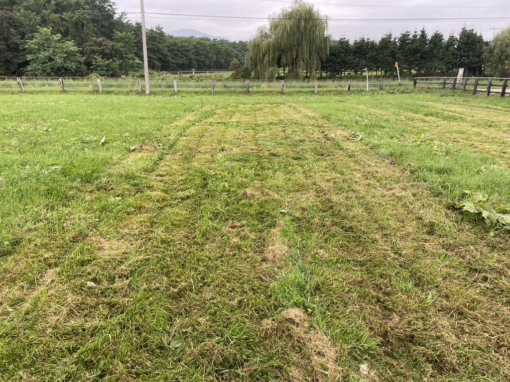 刈ったあとの状態